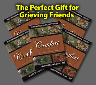 Comfort Video Gift Set